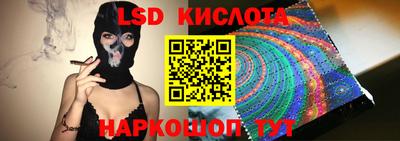 гидропоника Сланцы