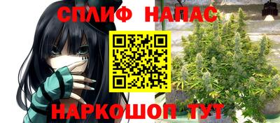 трава Славгород