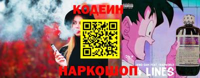 гидропоника Сланцы