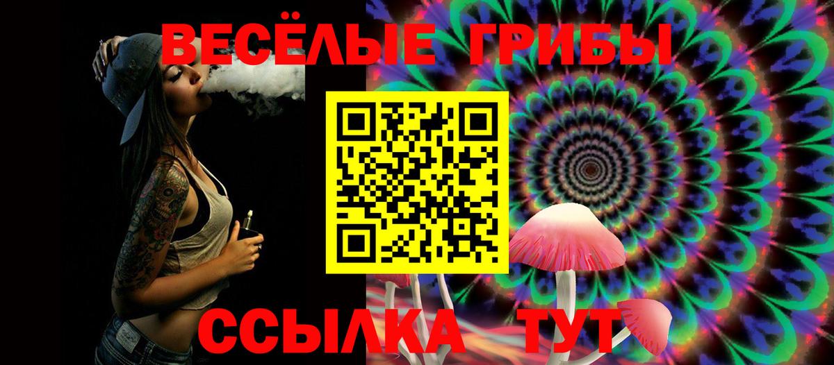 Псилоцибиновые грибы Psilocybine cubensis Подольск